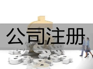 上海临港新片区公司注册