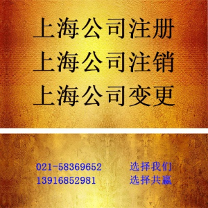 上海外资公司注册优势