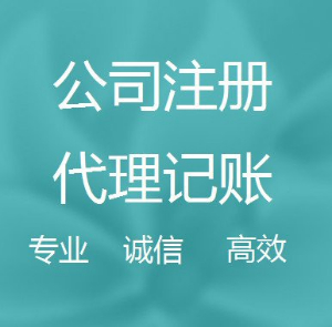 上海财务代理记账服务