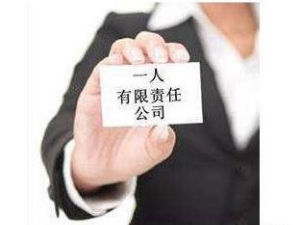 注册一人公司的利弊有哪些