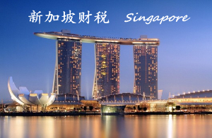 新加坡公司财务税务