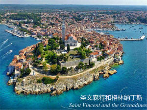 离岸公司注册地—圣文森特和格林纳丁斯