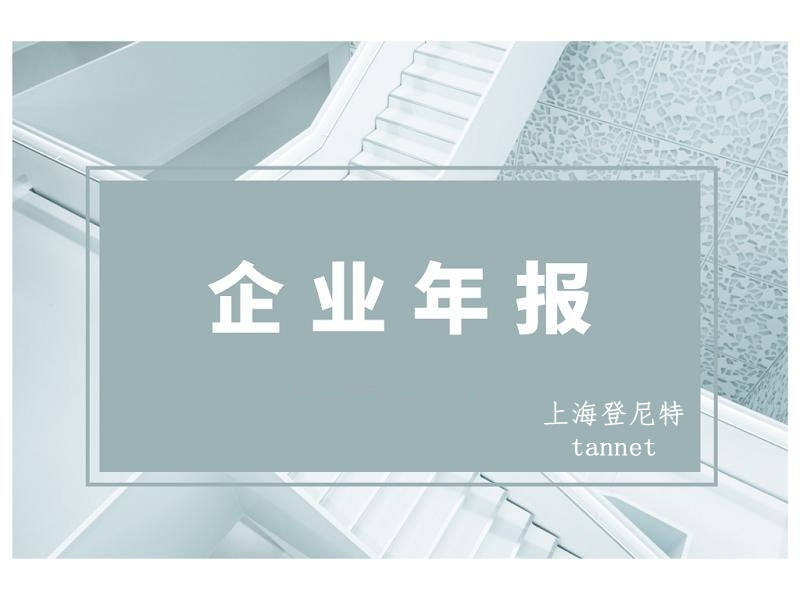 企业年报4.jpg