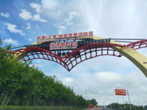 上海临港自贸区公司注册