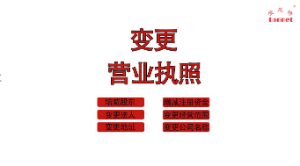 变更上海公司类型介绍说明
