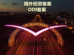 中国企业境外投资备案