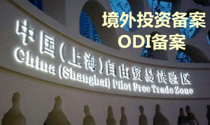 上海境外投资备案的申请条件
