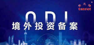 上海境外投资备案时间