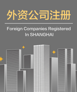 上海外资公司注册需要的资料