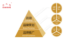 品牌策划与品牌管理