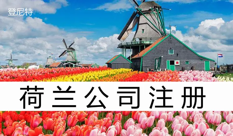 荷兰公司注册的好处