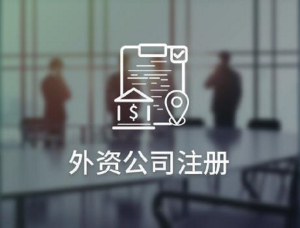 上海闵行外资公司注册