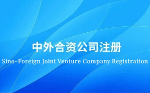 上海中外合资公司注册