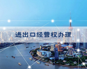 上海进出口权申请的资料和流程