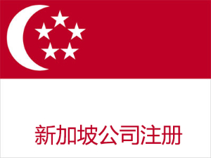 新加坡公司注册提交资料