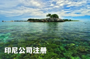 印尼公司注册详细说明