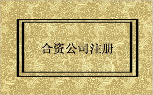 上海合资公司注册