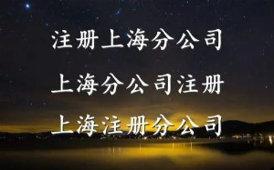 上海分公司注册要求