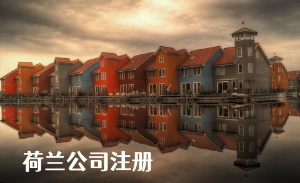 荷兰公司注册