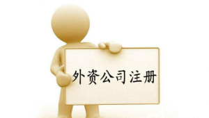 上海外资公司注册流程
