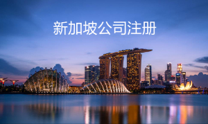 新加坡公司注册
