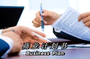 上海商业计划书服务说明