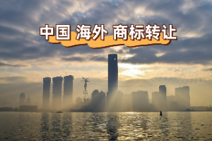 热门商标介绍—中国国际商标注册转让