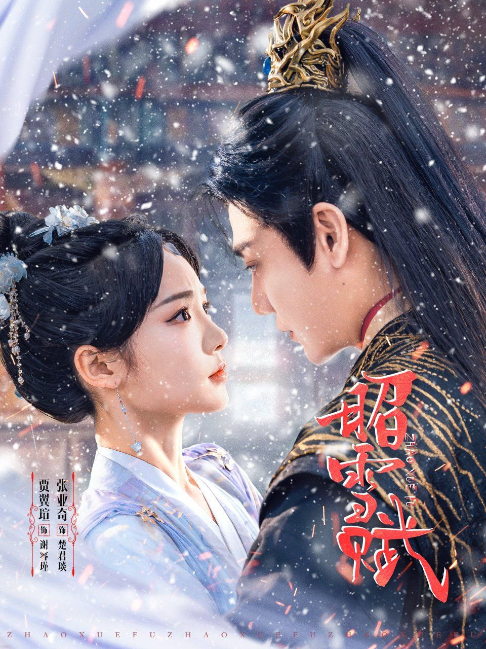 昭雪赋(全集)
