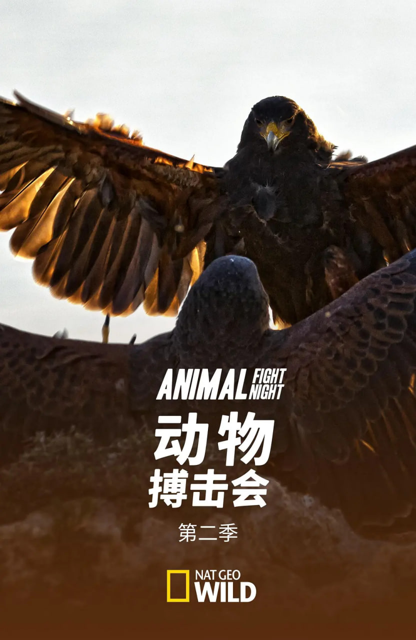 动物搏击会 第二季(全集)