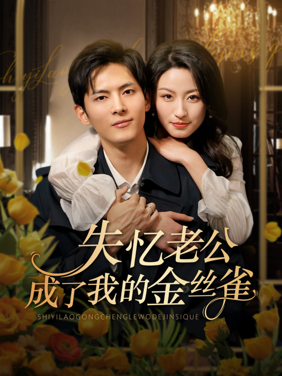 失忆老公成了我的金丝雀(全集)