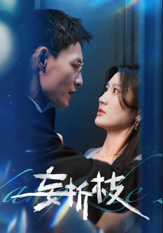 妄折枝(全集)