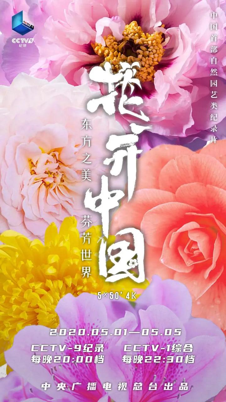 花开中国(全集)