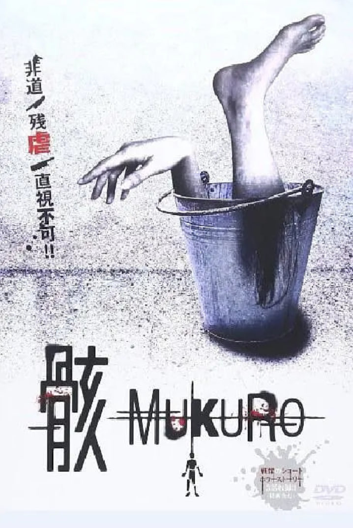 骸