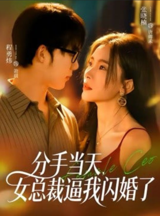 分手当天，女总裁逼我闪婚了(全集)