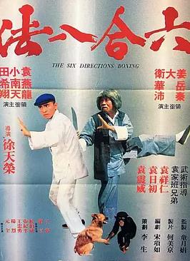 六合八法