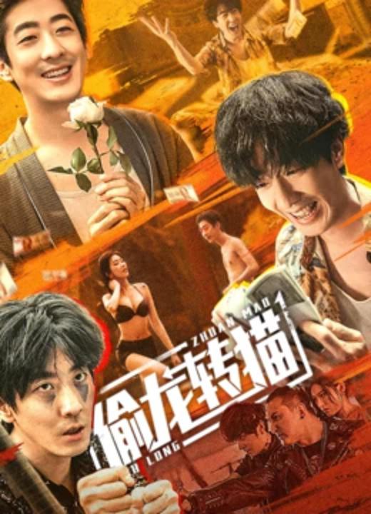 偷龙转猫(全集)